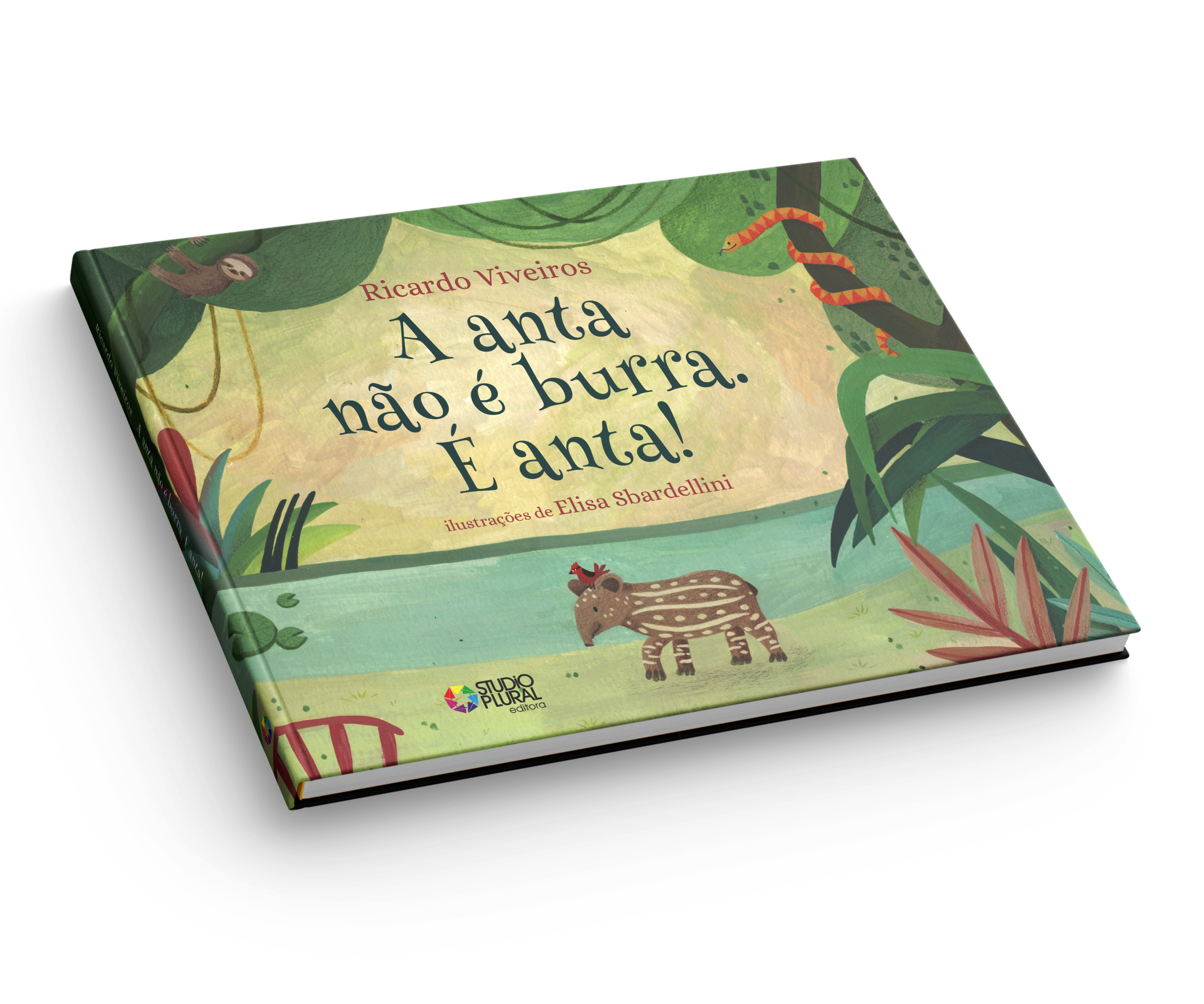 Editora Studio Plural - Livro Biu e o caminho de Sankofa